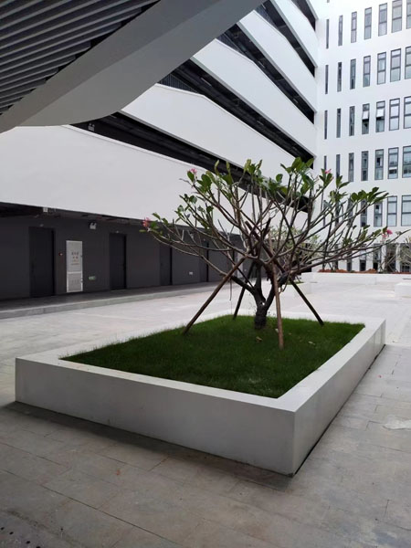 广东海洋大学玻璃钢树池户外花坛坐凳案例